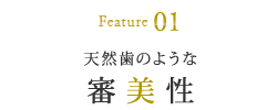 天然歯のような 審美性